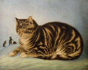 Kedi Uyuklaması (baskı)